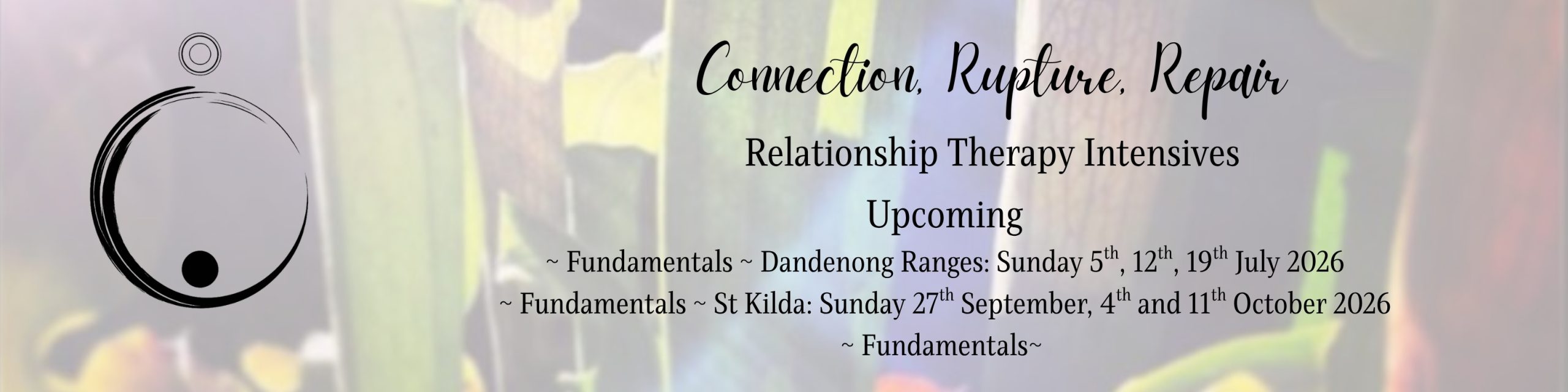 Relationship Therapy Intensives
